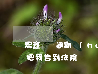 易鑫車貸逾期會(huì)起訴嗎(易鑫車貸把我告到法院)