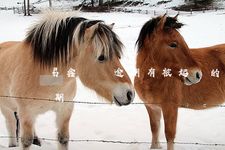 易鑫車貸逾期有被起訴的嗎(易鑫車貸起訴逾期人)