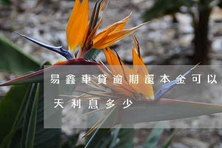 易鑫車貸逾期還本金可以嗎 易鑫車貸逾期兩天利息多少