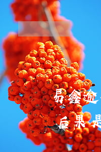 易鑫逾期10天会怎么样，易鑫逾期10天的后果是什么？