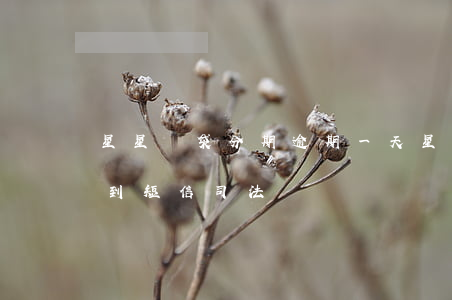 星星錢袋分期逾期一天(星星錢袋逾期兩年,收到短信司法訴訟)