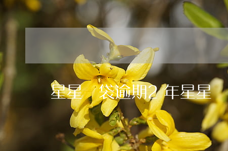 星星錢袋逾期2年(星星錢袋利息合法嗎)