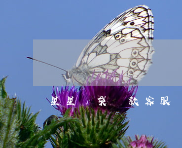星星錢袋還款客服電話（星星錢袋逾期還能借嗎）