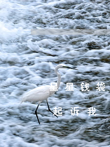 星星钱袋欠4500会被起诉吗-星星钱袋起诉我