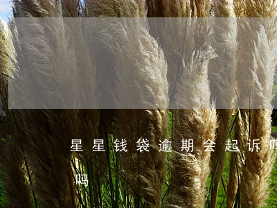星星钱袋逾期会起诉吗(星星钱袋逾期会起诉吗)