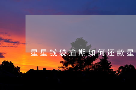 星星钱袋逾期如何还款(星星钱袋靠谱吗)