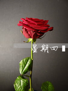 星期四會不會辦離婚