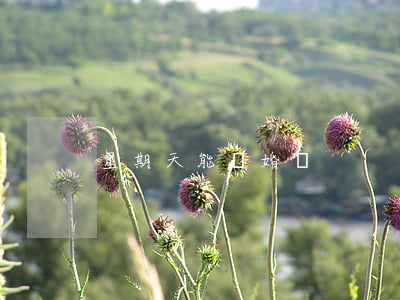 星期天能離婚嗎