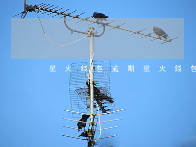 星火錢包逾期(星火錢包逾期了怎么辦)