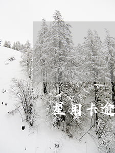 星用卡逾期無人聯(lián)系
