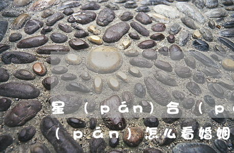 星盤(pán)合盤(pán)看離婚(星盤(pán)怎么看婚姻二婚或者離婚)