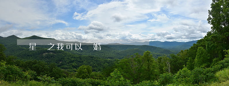 星際之我可以離婚嗎