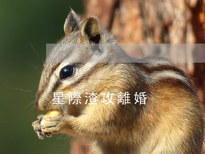 星際渣攻離婚