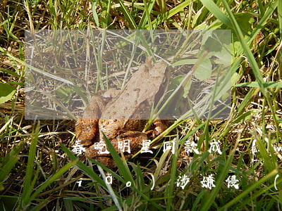 春晚明星同款成網(wǎng)店熱銷(xiāo) 涉嫌侵權(quán)要擔(dān)責(zé)