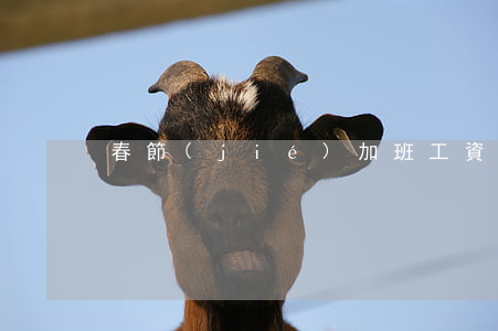春節(jié)加班工資