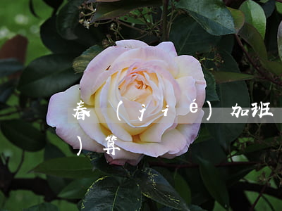 春節(jié)加班費(fèi)計(jì)算