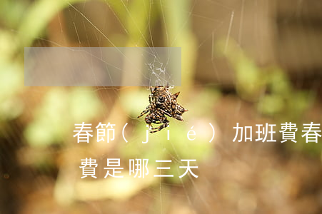 春節(jié)加班費(春節(jié)加班費是哪三天)