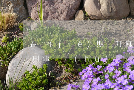 春節(jié)期間打麻將有可能被判刑丨刑事辯護(hù)