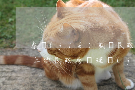 春節(jié)期間民政局幾號(hào)上班（民政局辦理結(jié)婚證攜帶資料）