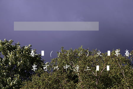 春節(jié)火車票(春節(jié)火車票可以中途上車嗎)