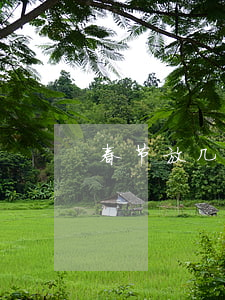 春节放几天假(春节放几天假期)