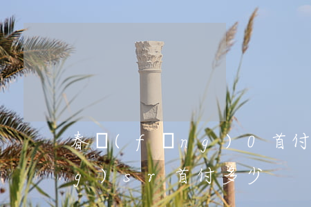 春風(fēng)0首付分期(春風(fēng)sr首付多少)