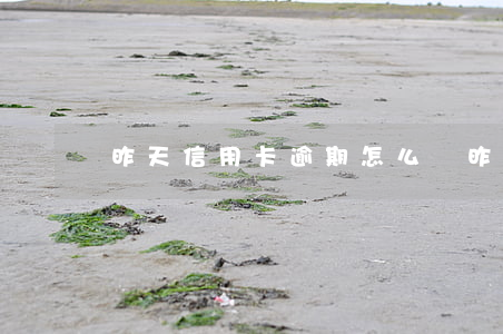 昨天信用卡逾期怎么辦(昨天信用卡逾期怎么辦)