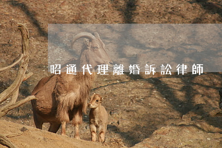 昭通代理離婚訴訟律師