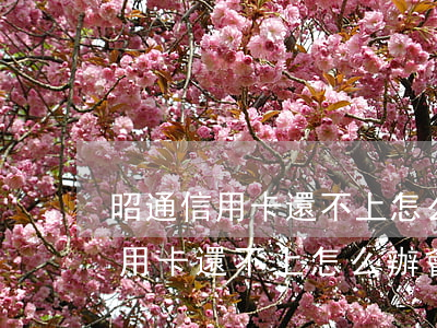 昭通信用卡還不上怎么辦會判刑嗎-昭通信用卡還不上怎么辦會判刑嗎知乎