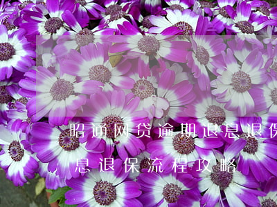 昭通网贷逾期退息退保的方法技术-网贷退息退保流程攻略