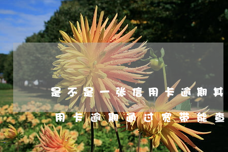 是不是一张信用卡逾期其他银行都能查到（信用卡逾期通过宽带能查到地址吗）