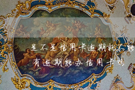 是不是信用卡逾期就不能买车了（名下有车但有逾期能办信用卡吗）
