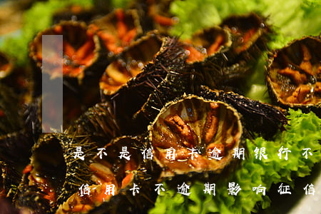 是不是信用卡逾期银行不上报就不影响征信（信用卡不逾期影响征信吗）