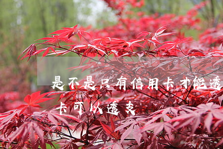 是不是只有信用卡才能透支(哪些銀行的信用卡可以透支)