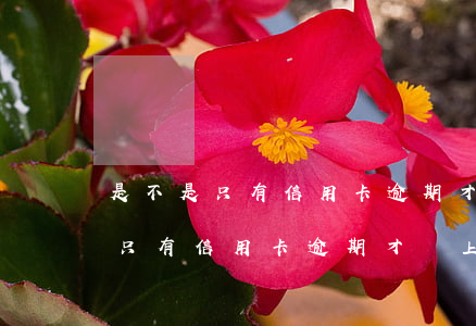 是不是只有信用卡逾期才會上征信-是不是只有信用卡逾期才會上征信呢