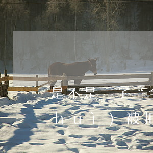 是不是買了“全險(xiǎn)”就不會(huì)被拒賠