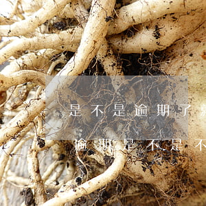 是不是逾期了就不能貸款(當(dāng)前逾期是不是不能貸款了)