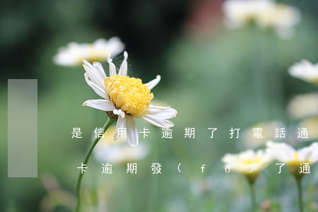 是信用卡逾期了 打電話通知提醒他們的（信用卡逾期發(fā)了通知函）