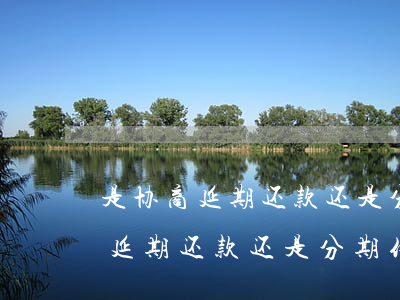 是协商延期还款还是分期付款合适-是协商延期还款还是分期付款合适呢