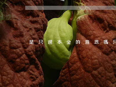 是只還本金的意思嗎(只還本金是真的嗎)