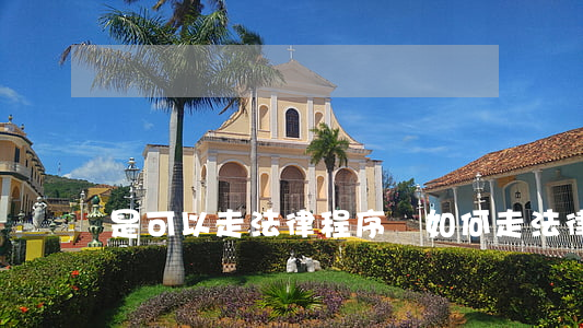 是可以走法律程序嗎(如何走法律程序)