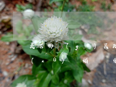 是否哪個(gè)民政局都可以辦離婚手續(xù)(離婚證隨便哪個(gè)民政局都可以辦理嗎)