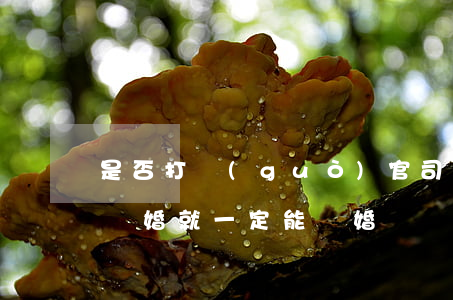 是否打過(guò)官司才能起訴離婚(起訴離婚就一定能離婚嗎?)