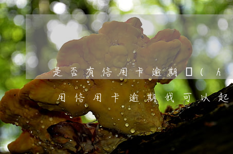 是否有信用卡逾期會(huì)被起訴(朋友用信用卡逾期,我可以起訴嗎)