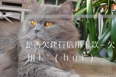 是否欠建行信用卡款-欠建設(shè)信用卡會(huì)從別的銀行卡扣嗎