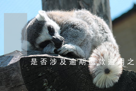 是否涉及逾期還款(逾期之后還款還算逾期嗎)
