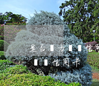 是否無力償還信用卡(實(shí)在是無力償還信用卡)