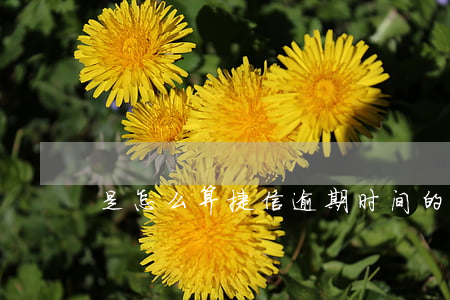是怎么算捷信逾期时间的