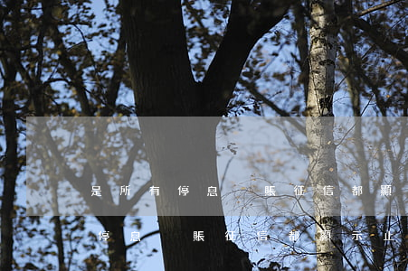 是所有停息掛賬征信都顯示止付嗎-是所有停息掛賬征信都顯示止付嗎是真的嗎