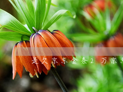是欠京东金条2万(京东金条两万三年没还)